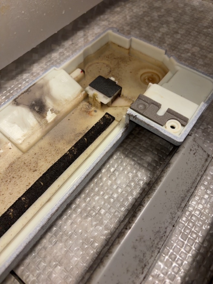 BACA097F-C787-47EA-8EE2-4A574F625459